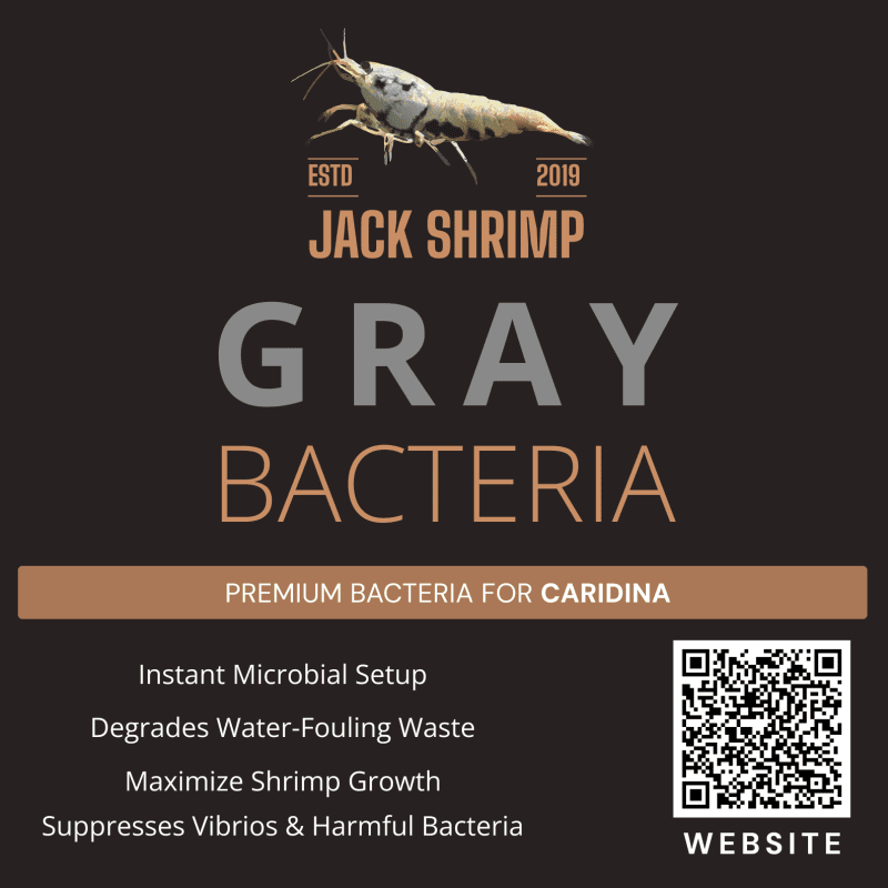 Gray Powder - Vi sinh cao cấp cho tép lạnh - Caridina Bacteria