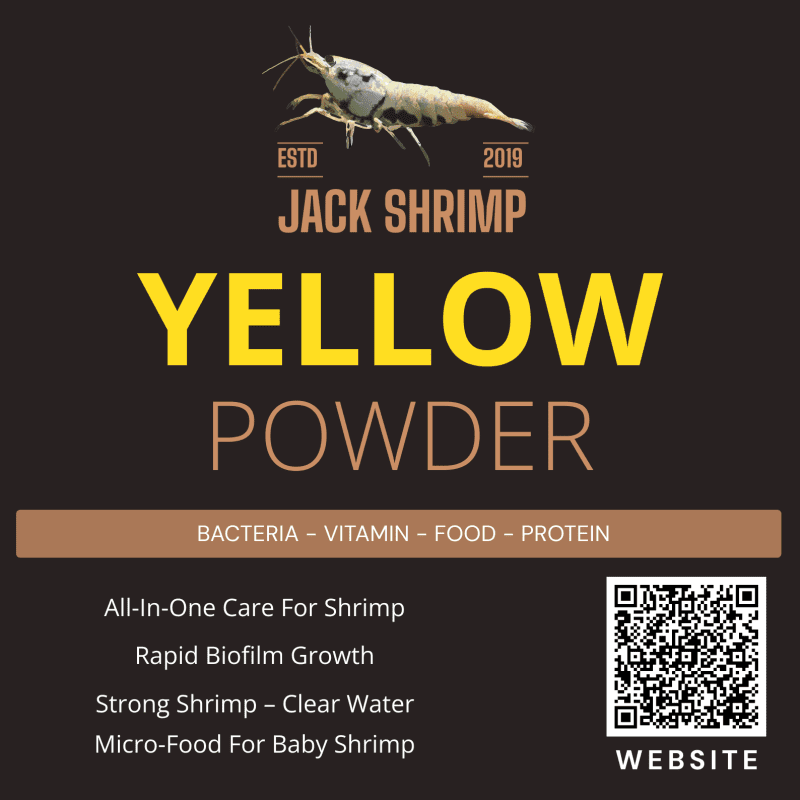 Yellow Powder - Hỗn hợp bổ sung cao cấp bao gồm Vi Sinh - Vitamin - Protein - Thức ăn